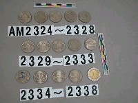 藏品(泰國5銖硬幣)的圖片